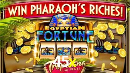 Exclusive Offers 45x